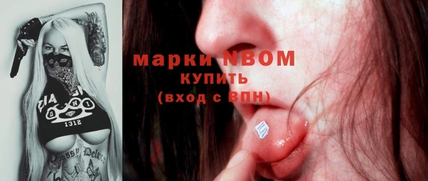 apvp Арсеньев