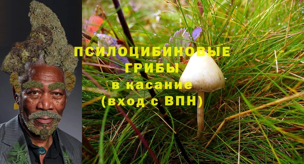 apvp Арсеньев